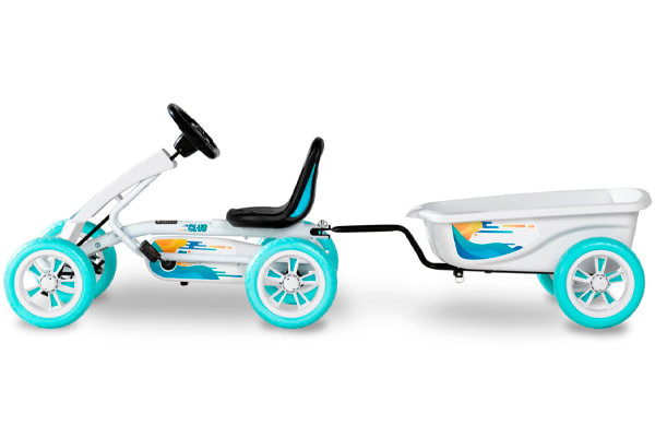 Inclusief bevestiginspin